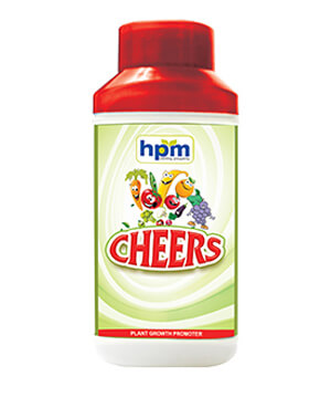 Cheers