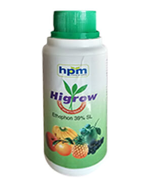 Higrow