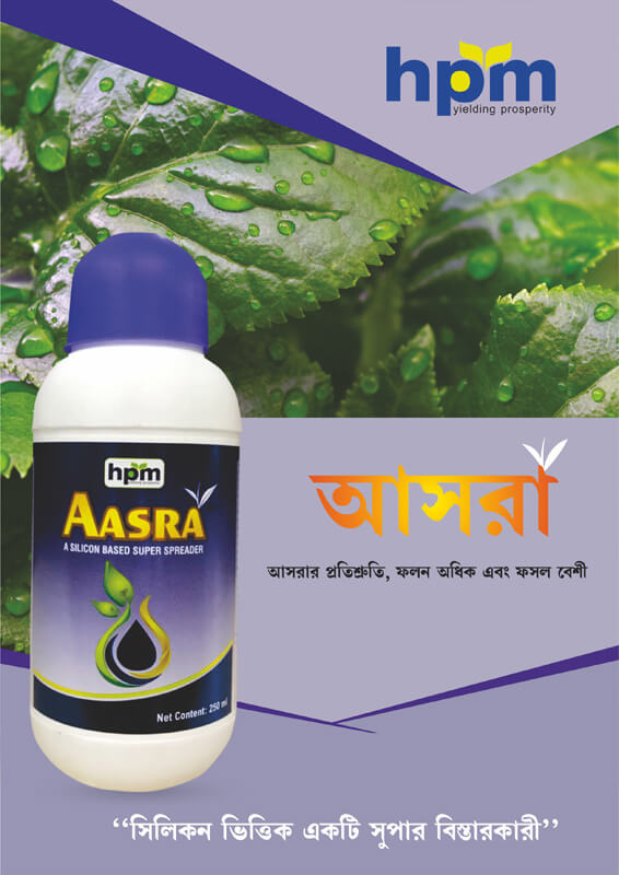 aasra