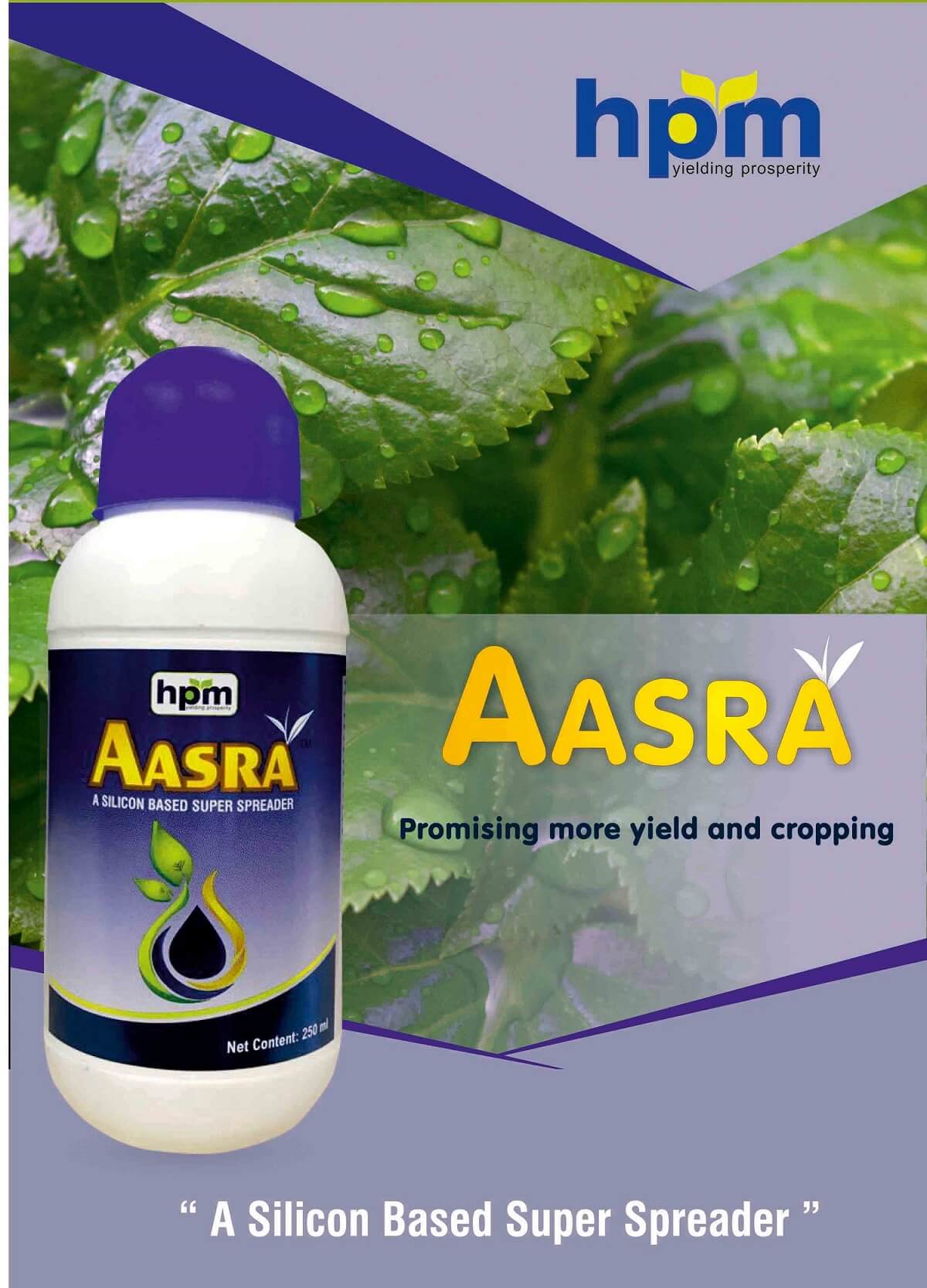 aasra