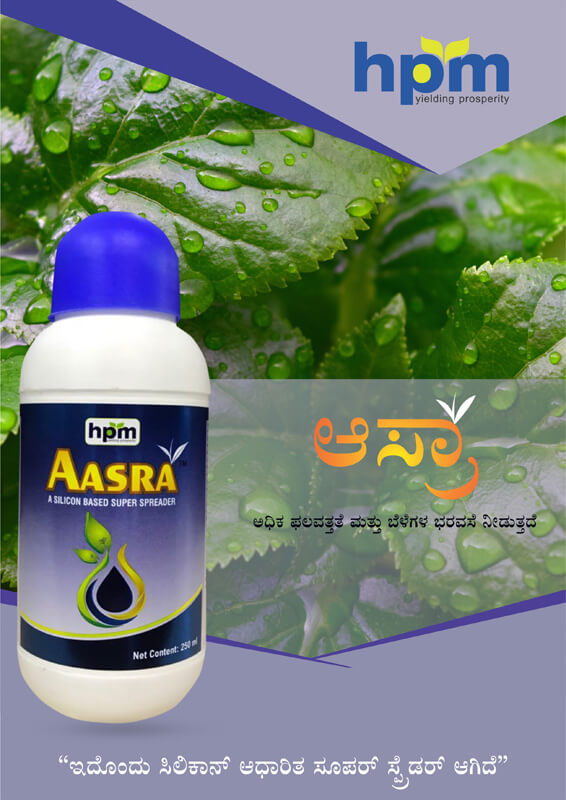 aasra
