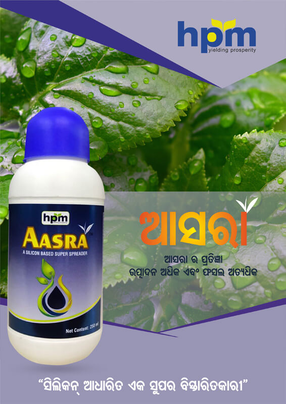 aasra