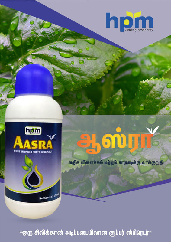 aasra