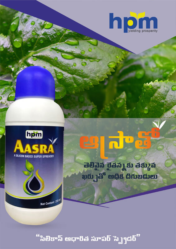 aasra