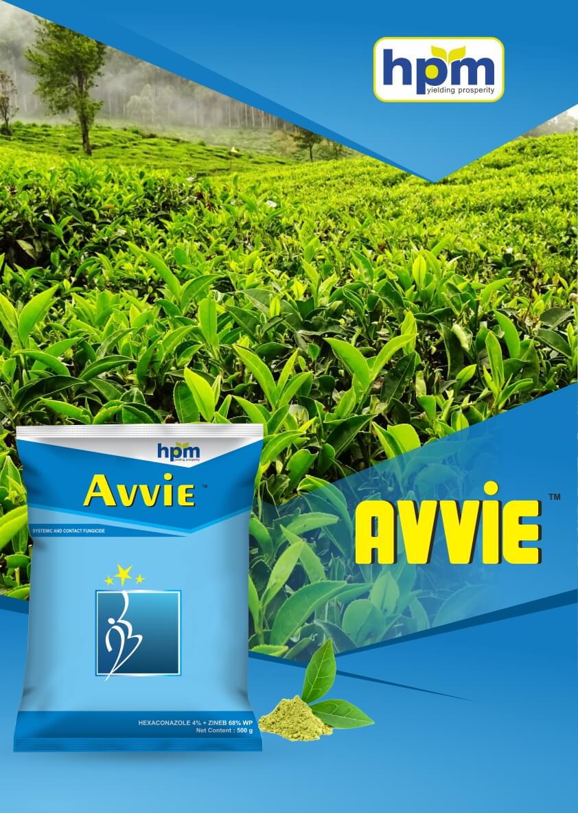 avive
