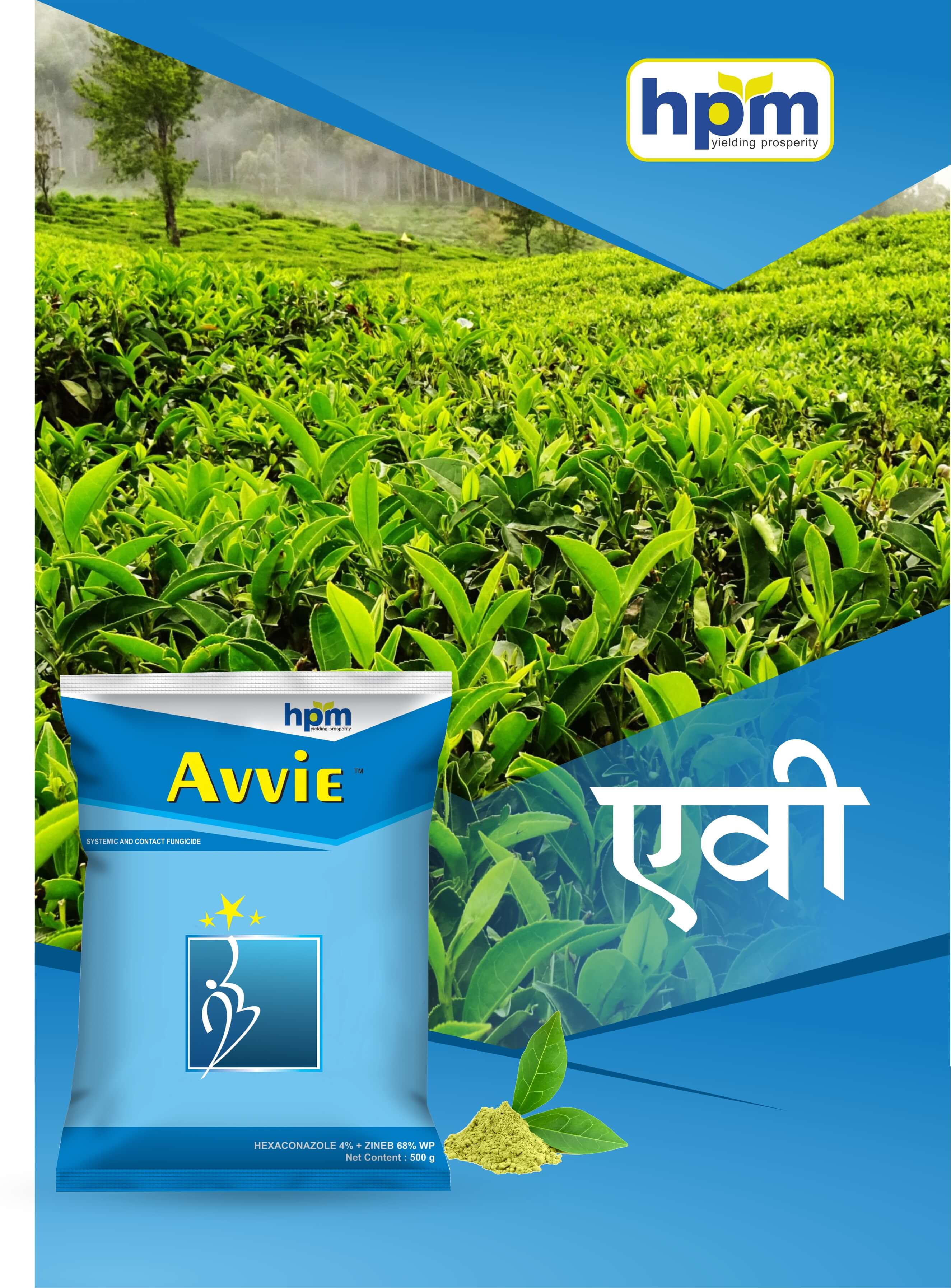 avive