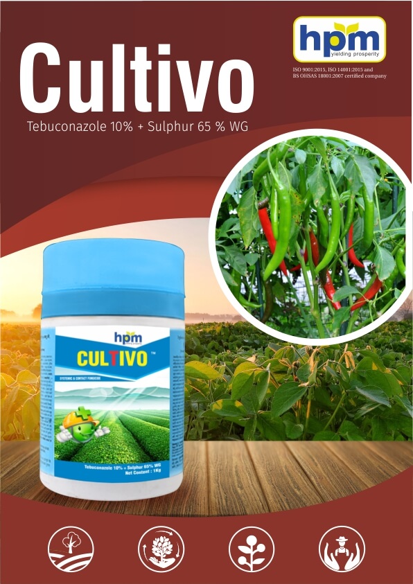 cultivo