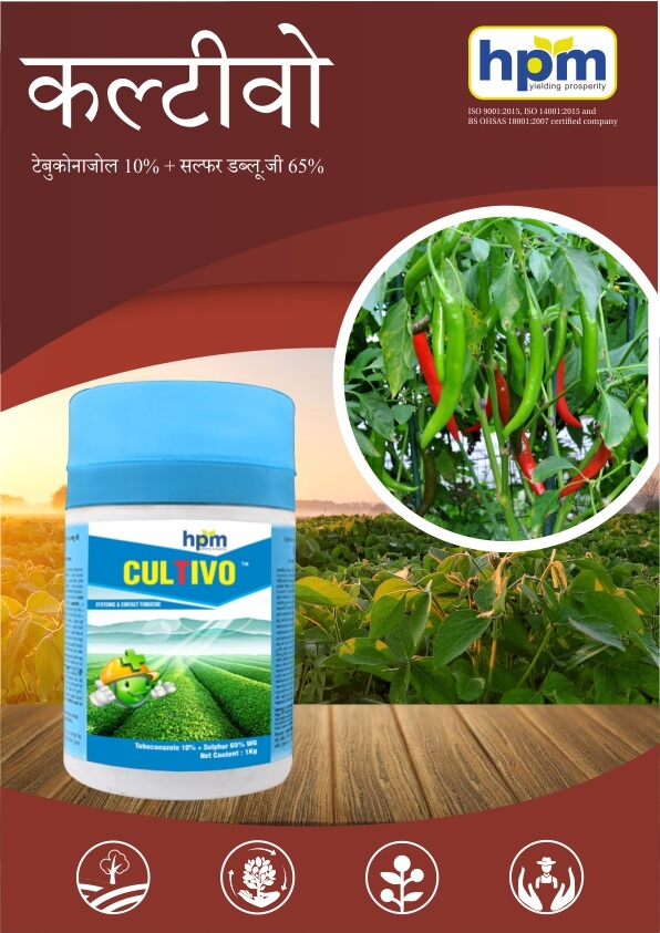 cultivo