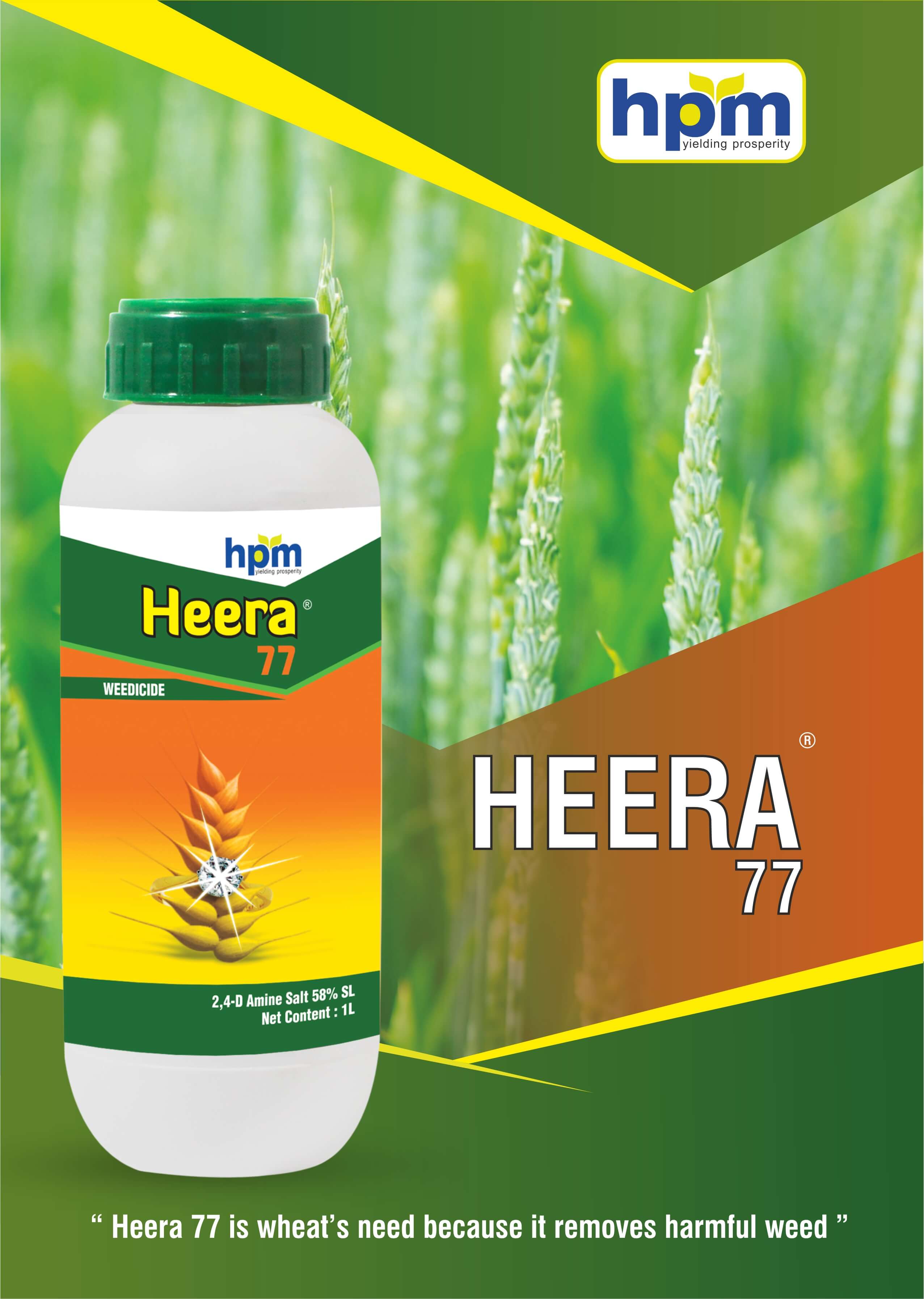 heera-77
