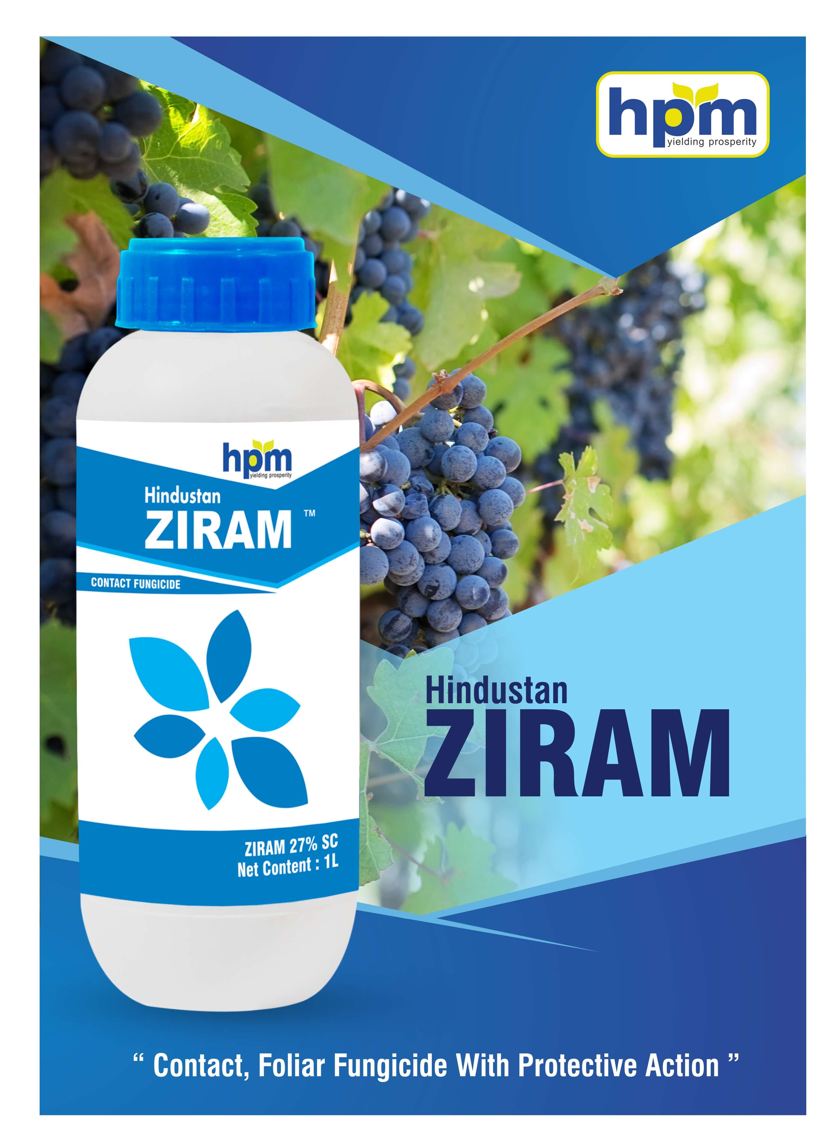 hindustaan ziram