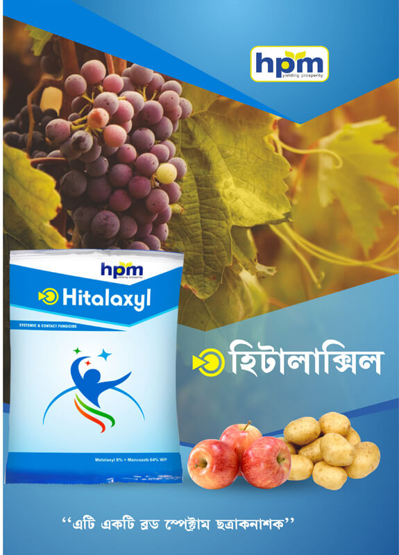 hitalaxyl