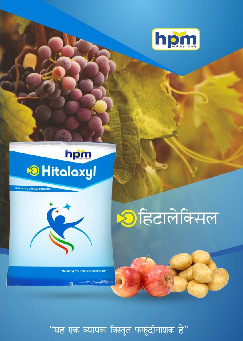 hitalaxyl