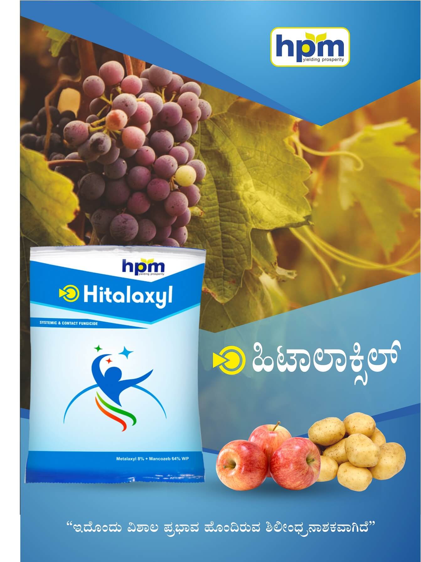 hitalaxyl