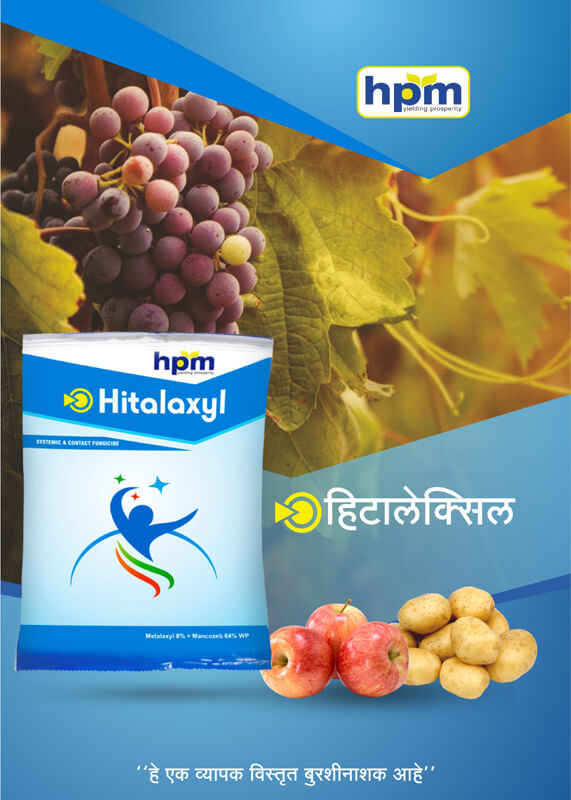 hitalaxyl