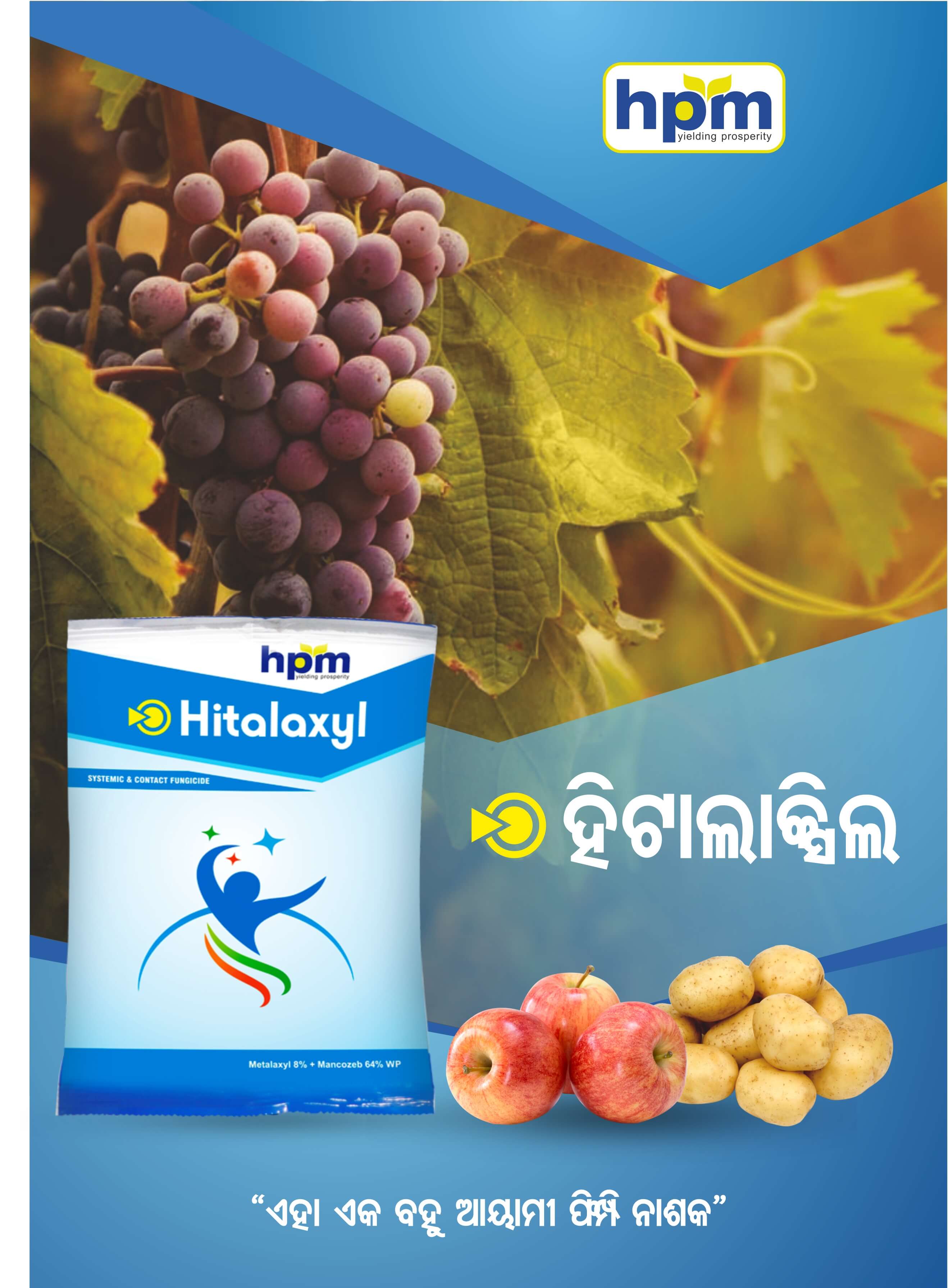 hitalaxyl