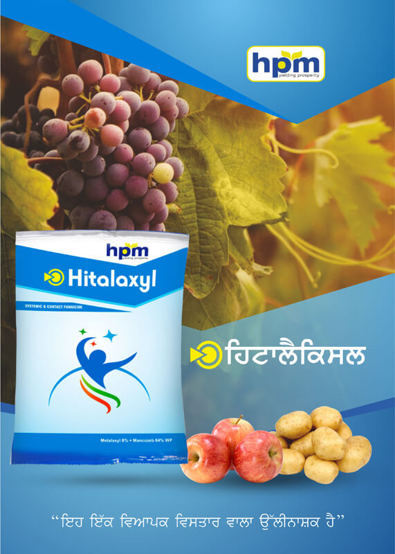 hitalaxyl