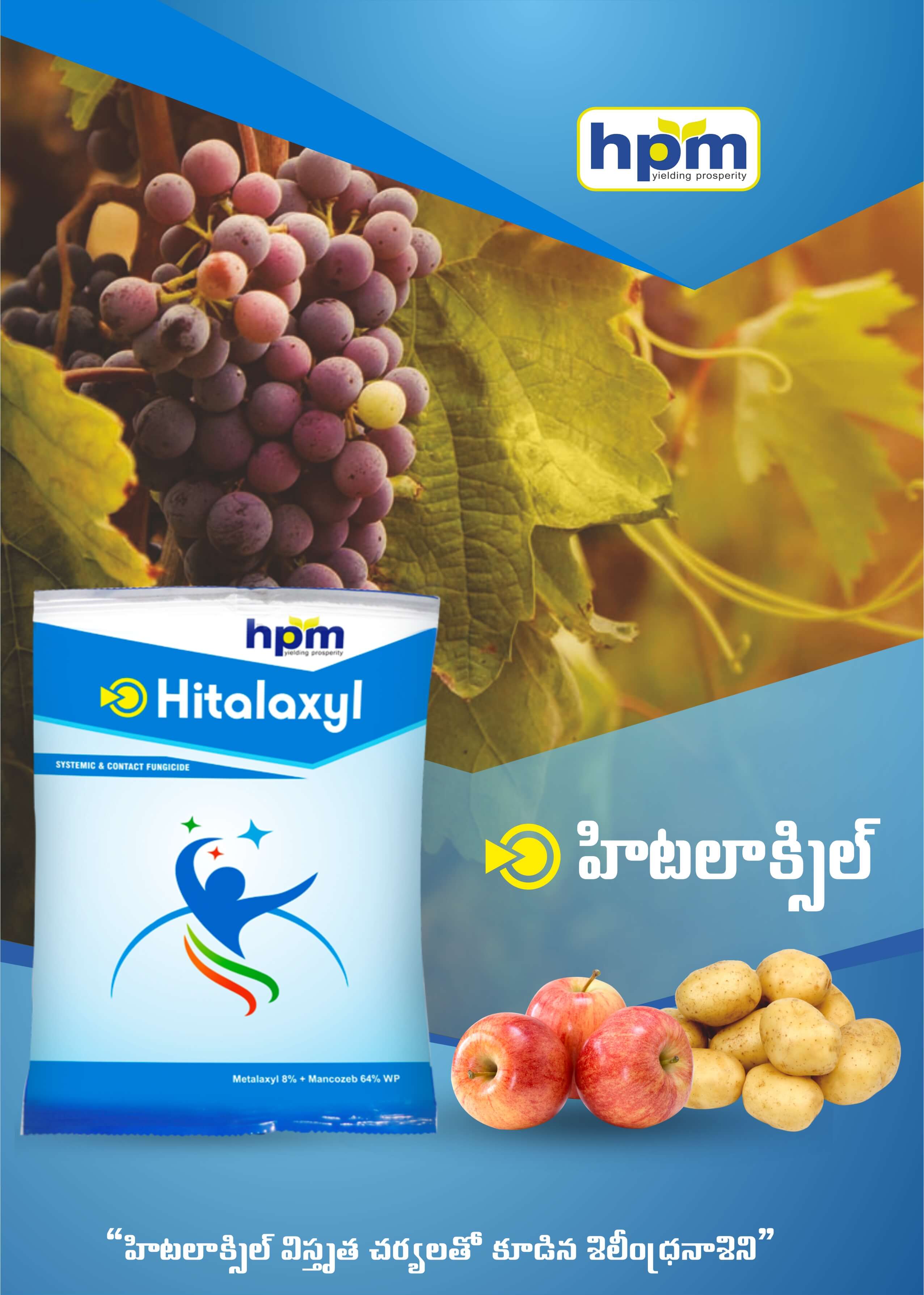 hitalaxyl