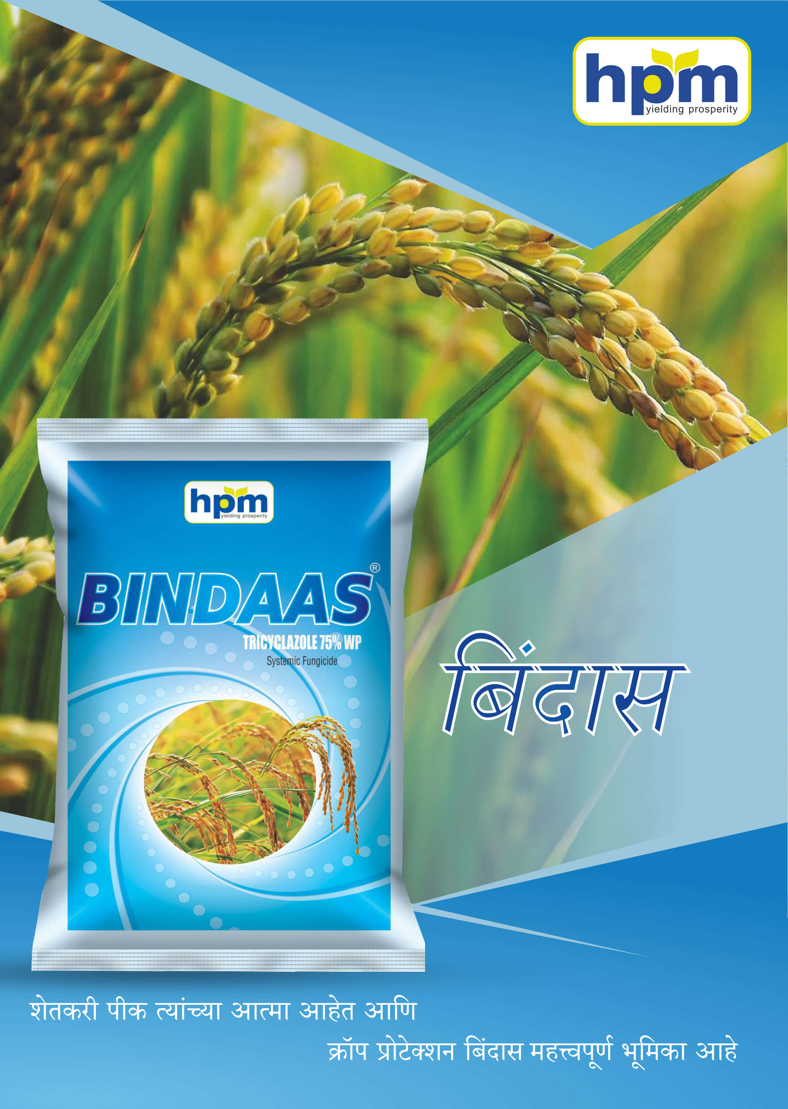 bindass