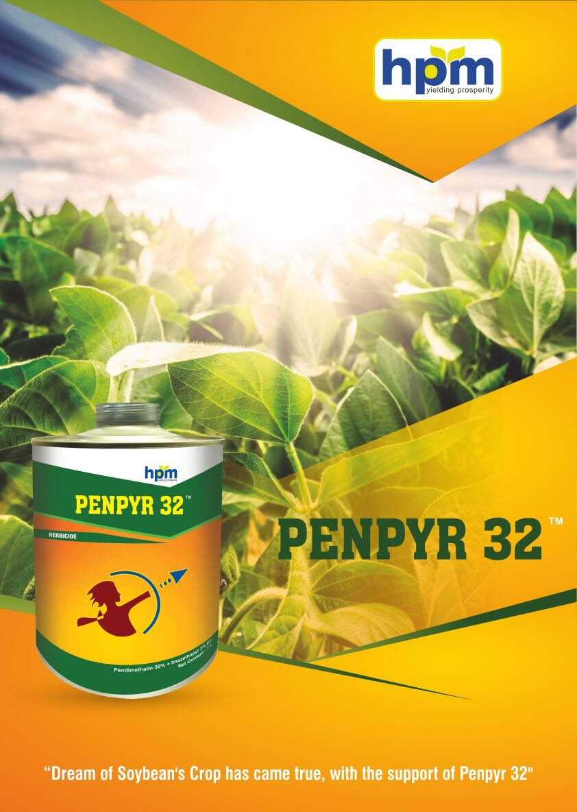 Penpyr 32