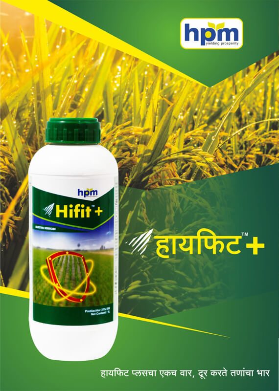 hifit-plus