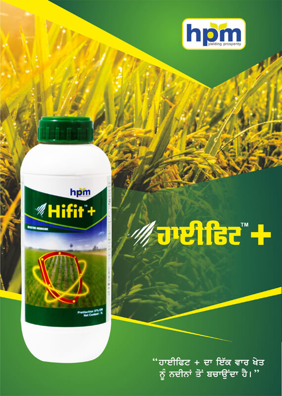hifit-plus