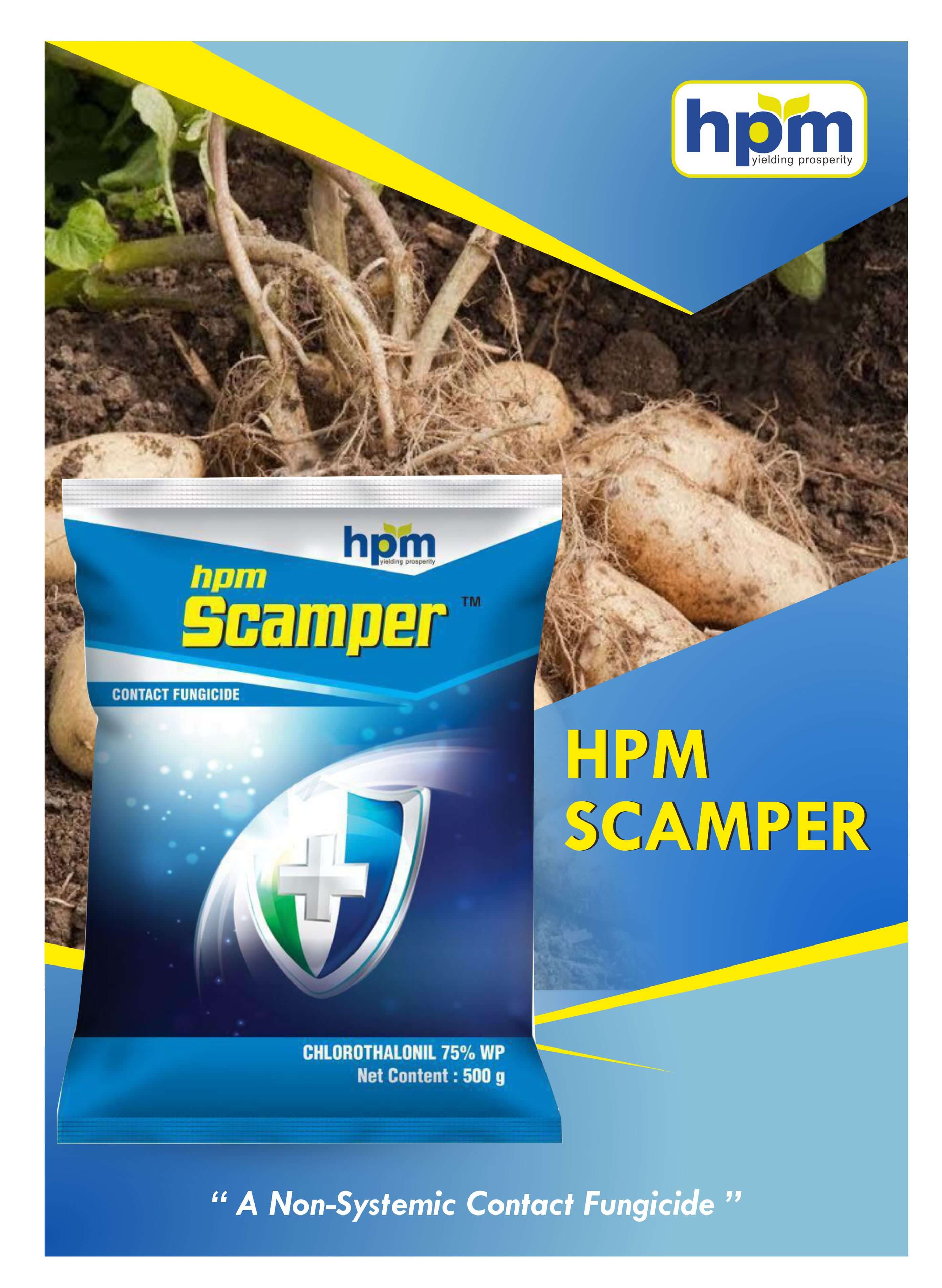 scamper