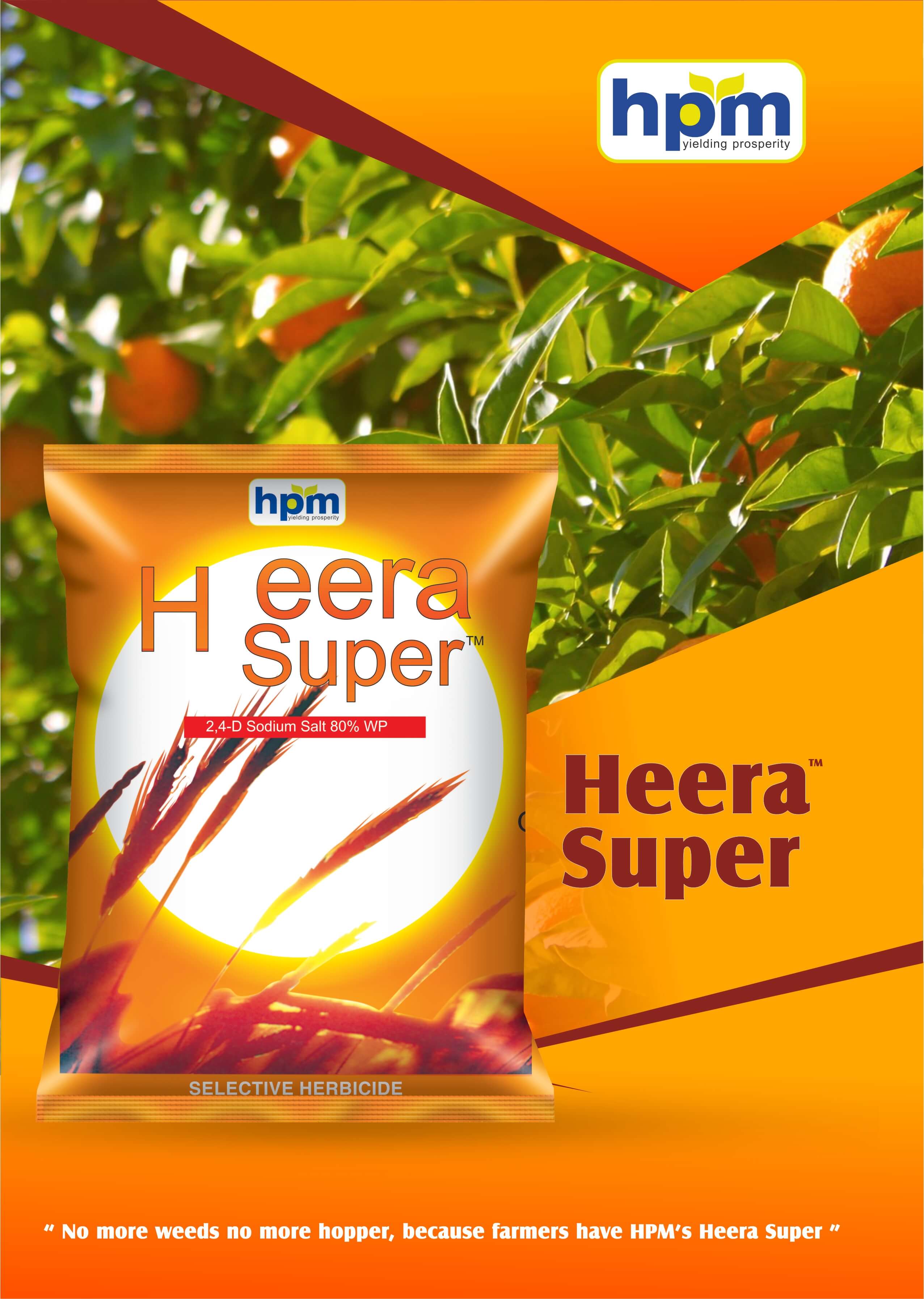 heera-super