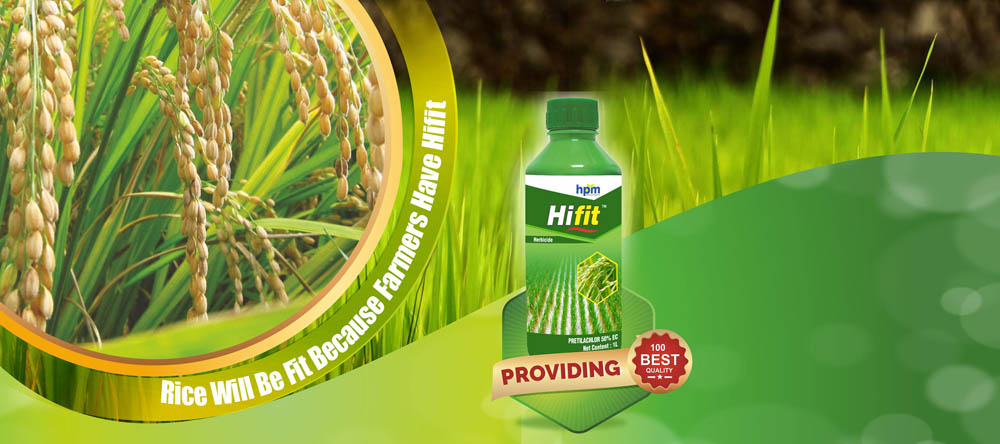 hifit