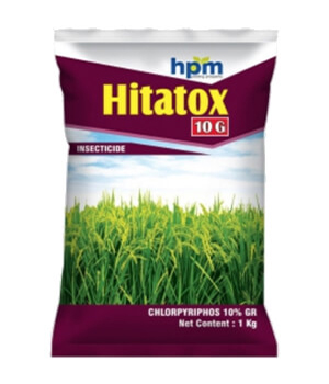 hifit