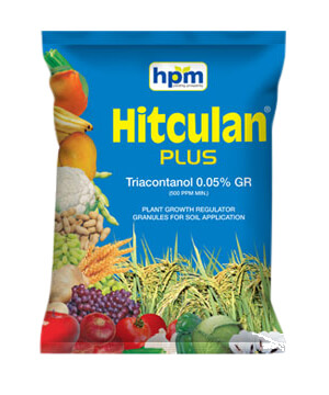 hifit