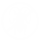 Insecticide
