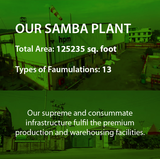 samba