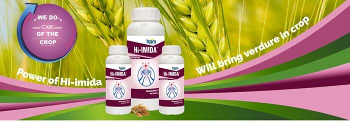 hifit