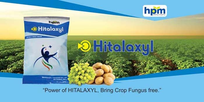hifit