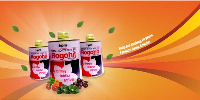 hifit