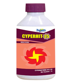 hifit
