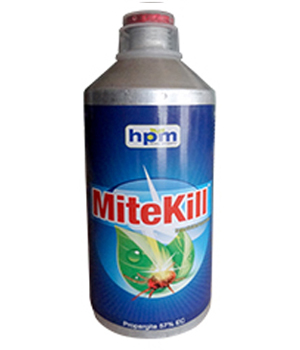 hifit