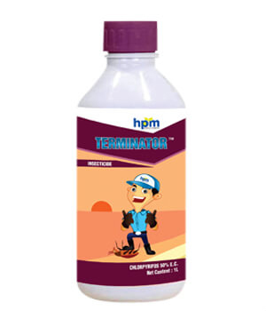 hifit